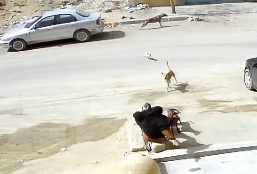 لقطة الشاشة 2026-10-16 100634 لقطة الشاشة 2026-10-16 100634